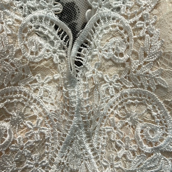 Elegant Lace Wedding Dress - Picture 11 of 15